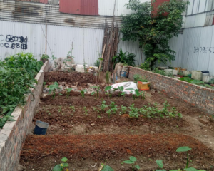 Bán 124.5 m2 đất thôn Đồng Chung Việt Hưng đường 5m thông cách khu đấu giá 200m