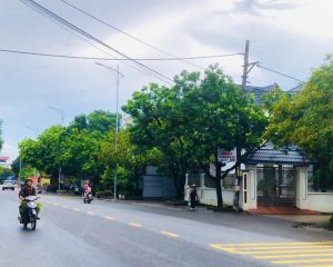 Bán đất ở 300m², 2 mặt tiền, sổ đỏ 100%, sát QL39B – TP. Hưng Yên, giá chỉ 31 tỷ