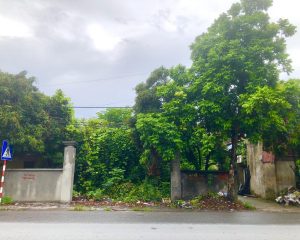 Bán đất ở 300m², 2 mặt tiền, sổ đỏ 100%, sát QL39B – TP. Hưng Yên, giá chỉ 31 tỷ