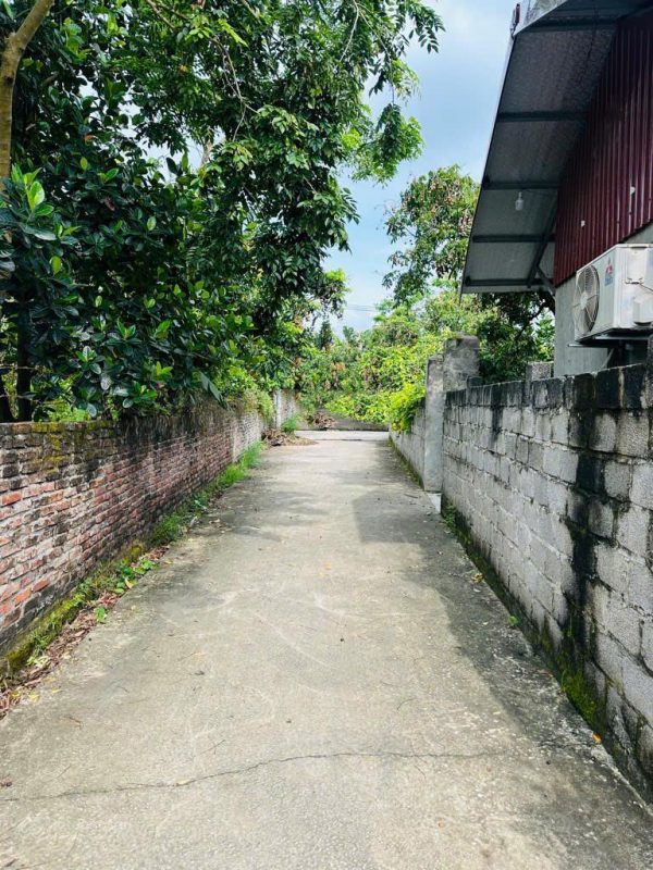 Bán đất 100m² Hương Lâm, Ông Đình, Khoái Châu – giá siêu tốt chỉ 1,98 tỷ