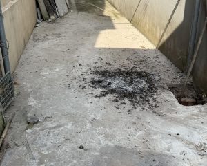 Duy nhất 1 lô đẹp nhất Văn Giang giá rẻ chỉ nhỉnh 1,5 tỷ tại Thôn Hoàng Trạch , xã Văn Giang