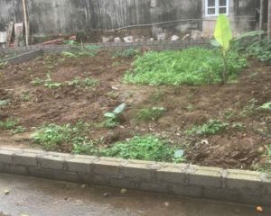 Bán lô đất xinh gần CON ĐƯỜNG DI SẢN ở Hưng Yên: mặt tiền 8M - thoáng rộng - đi lại thuận tiện.