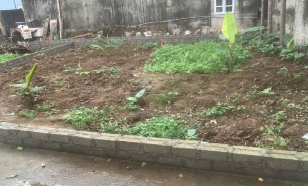 Bán lô đất xinh gần CON ĐƯỜNG DI SẢN ở Hưng Yên: mặt tiền 8M - thoáng rộng - đi lại thuận tiện.