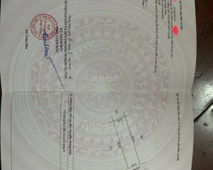 Bán đất phân lô đấu giá tại Yên Mỹ, Hưng Yên – Ô tô tránh, gần tiện ích, DT 100m², mặt tiền 5m