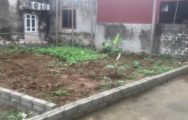 Bán lô đất xinh gần CON ĐƯỜNG DI SẢN ở Hưng Yên: mặt tiền 8M - thoáng rộng - đi lại thuận tiện.