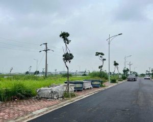 Siêu phẩm đất giãn dân Minh Đức – View vườn hoa, bãi đỗ xe – Giá yêu thương!
