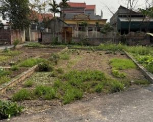 Trục chính Hưng Long, Mỹ Hào, Hưng Yên 1.98 tỷ ô tô tránh, sát trường mầm non